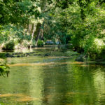 DSC02408